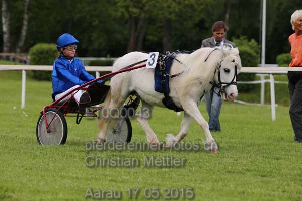 ET0Q0043 prot